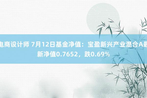 电商设计师 7月12日基金净值：宝盈新兴产业混合A最新净值0.7652，跌0.69%