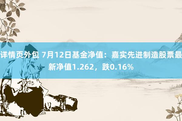 详情页外包 7月12日基金净值：嘉实先进制造股票最新净值1.262，跌0.16%