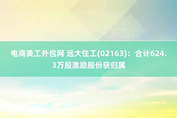 电商美工外包网 远大住工(02163)：合计624.3万股激励股份获归属