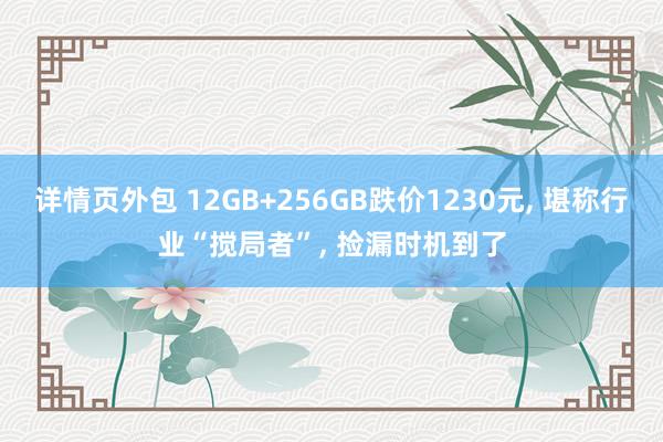 详情页外包 12GB+256GB跌价1230元, 堪称行业“搅局者”, 捡漏时机到了